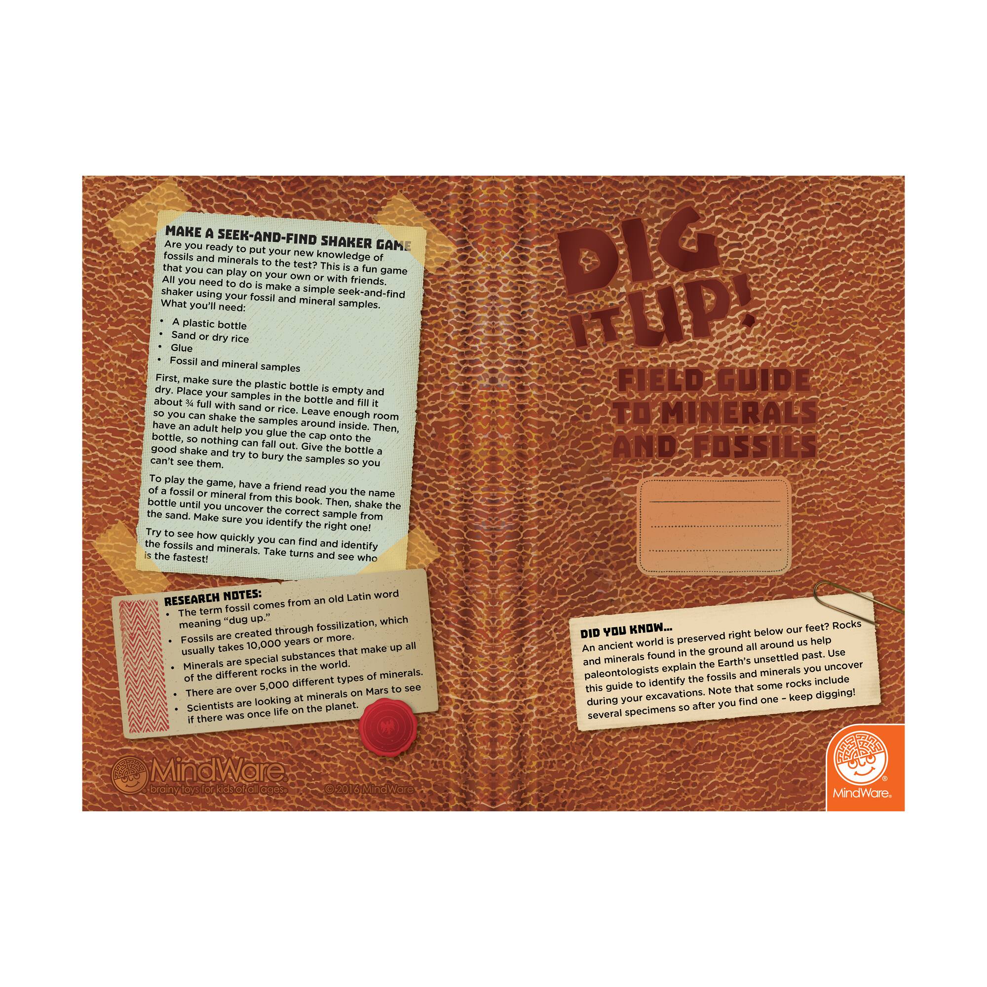 Dig It Up! - Minerals and Fossils